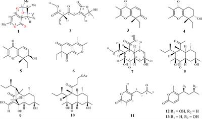 Bioactive secondary metabolites from endophytic strains of Neocamarosporium betae collected from desert plants